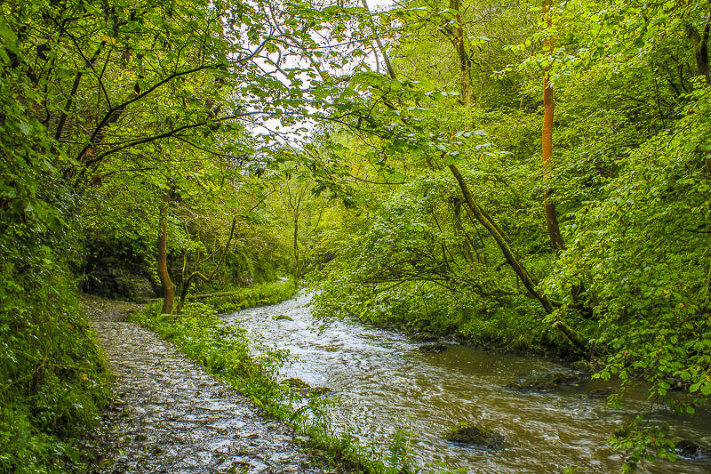 River Dove River Dove